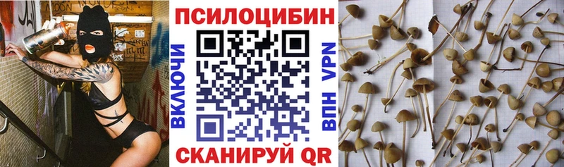 Псилоцибиновые грибы мицелий  Купить закладки  Ялта 